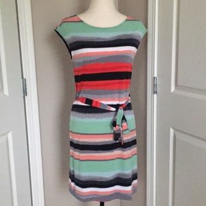 Banana Republic / Striped Dress